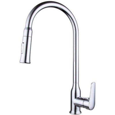    Bravat Arden (F7362395CPENG)