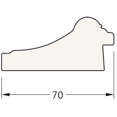  Evoform Exclusive-G (BY4219)