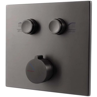  Vincea   (VSCV421GM)