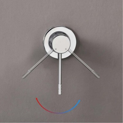  Vincea Desire  (VBFW1D1CH)