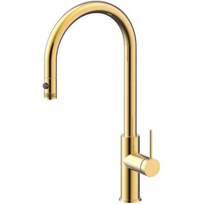    Paulmark Galant    ,     (GA213077SBG)