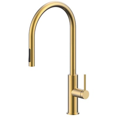    Paulmark Senso    (SE215180SBG)