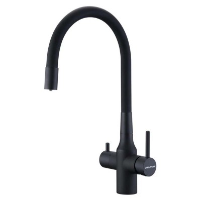    Paulmark Salix    ,   (SA213419401)