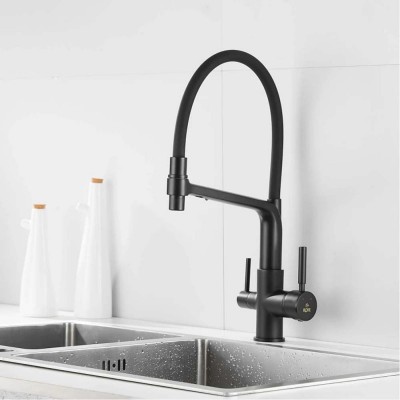  Rose R658    ,    (R658H)