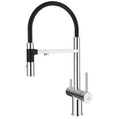  Rose R958    ,   (R958)