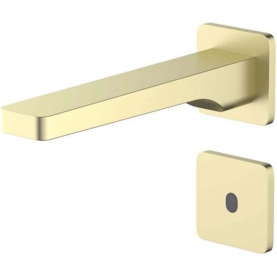  Timo Torne ,     (437317SM)