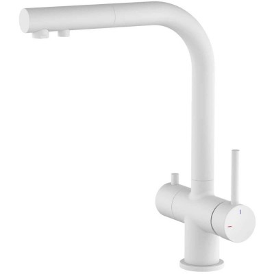  Timo Saona    ,    (235616FL)