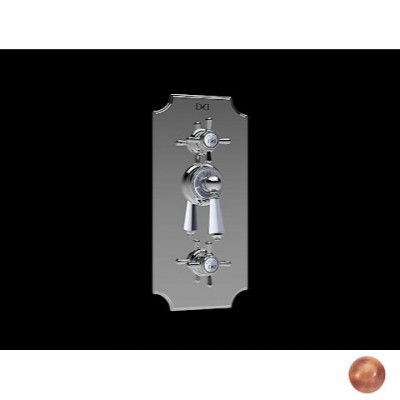     Devon & Devon Coventry (MARF79AR)