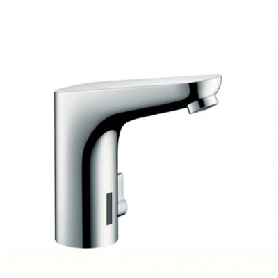   Hansgrohe Focus ,   (31173000)