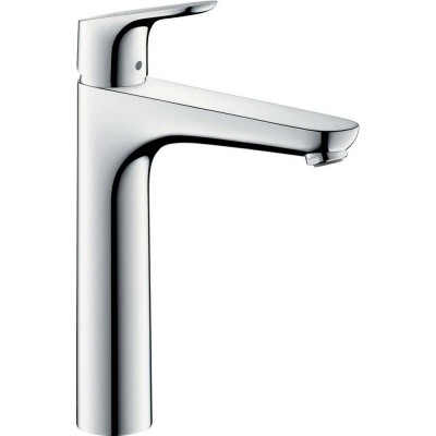   Hansgrohe Focus  (31608000)